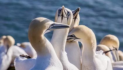 WTT球星挑战赛伦敦站:中国队提前包揽女双冠亚军